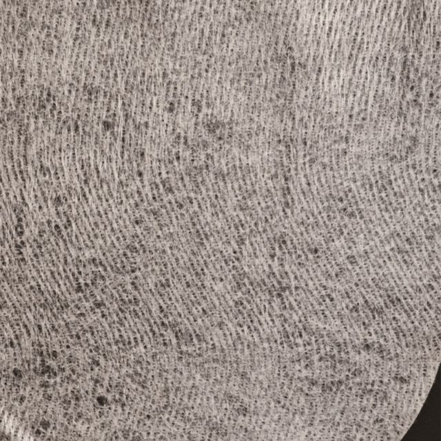 桉绒